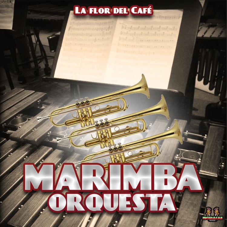 Marimba Orquesta's avatar image