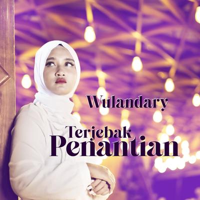 Terjebak Penantian's cover