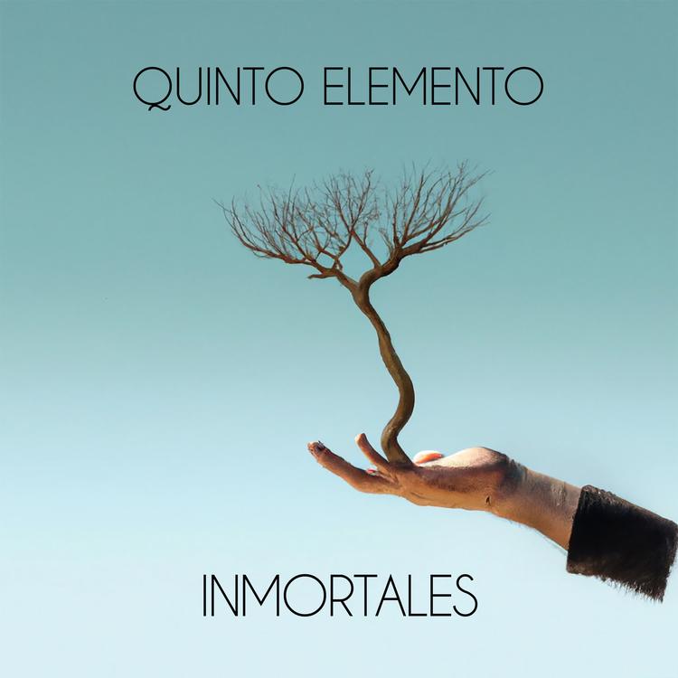 Quinto Elemento's avatar image