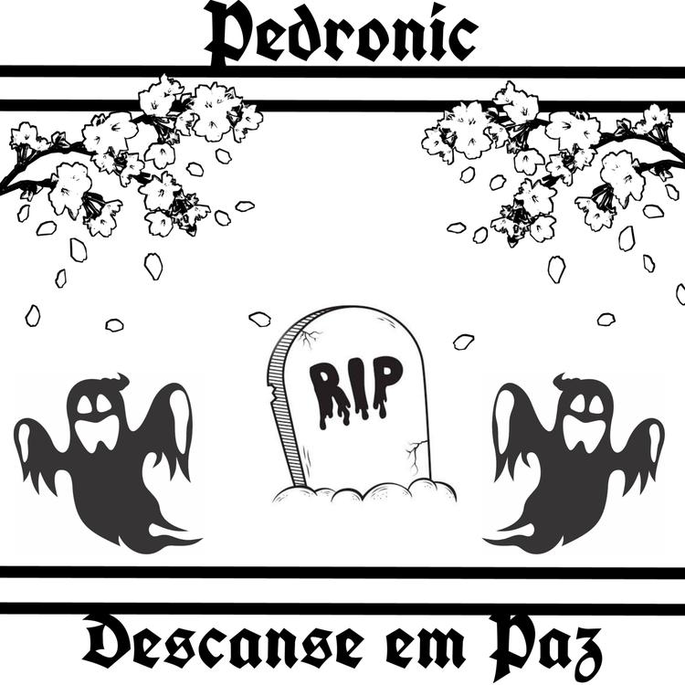 Pedronic's avatar image