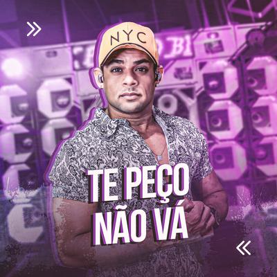 Te Peço Não Vá (Ao Vivo) By Naldo Silva's cover