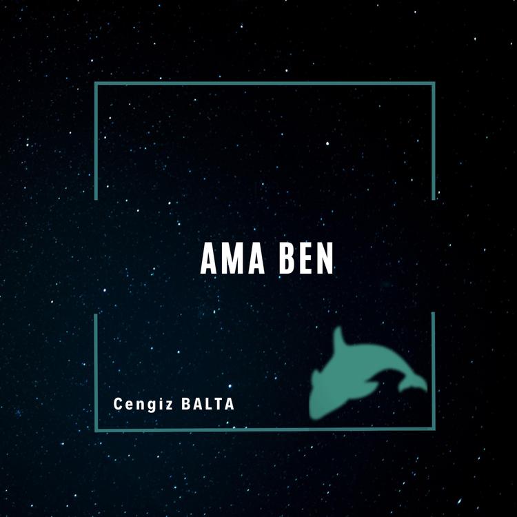 Cengiz BALTA's avatar image