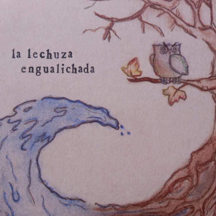 La Lechuza Engualichada's avatar image