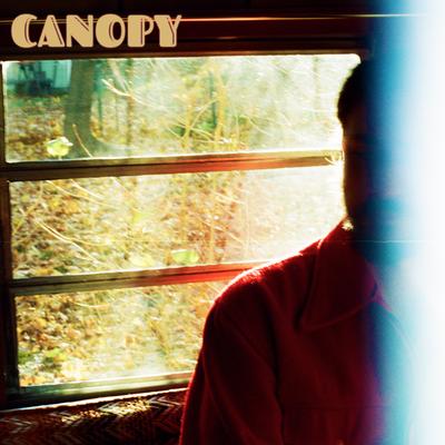 Canopy By Dominic Lavoie's cover