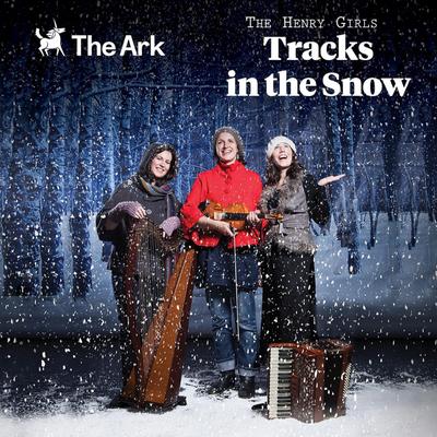 Tracks in the Snow's cover