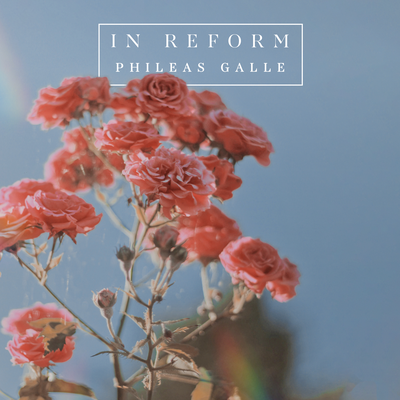 In Reform By Phileas Galle's cover