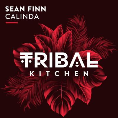 Calinda (Radio Edit) By Sean Finn's cover