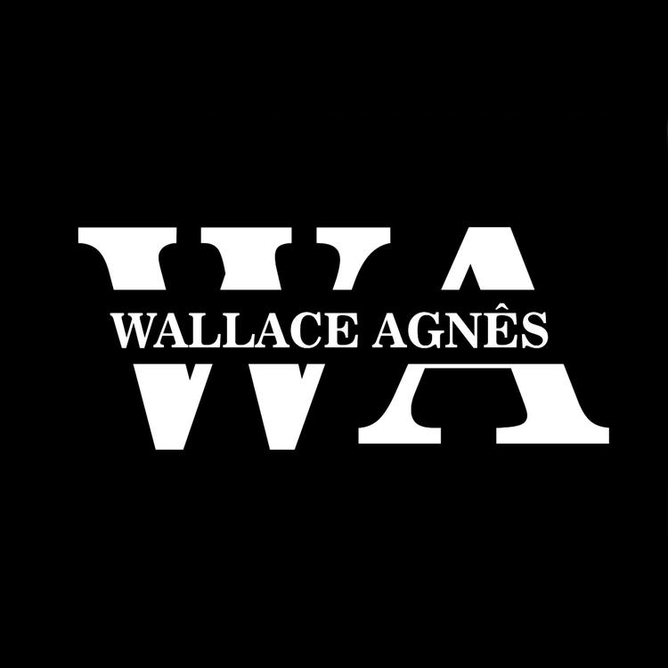 Wallace Agnês's avatar image