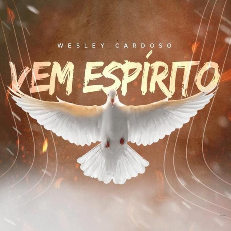 Wesley Cardoso's avatar image