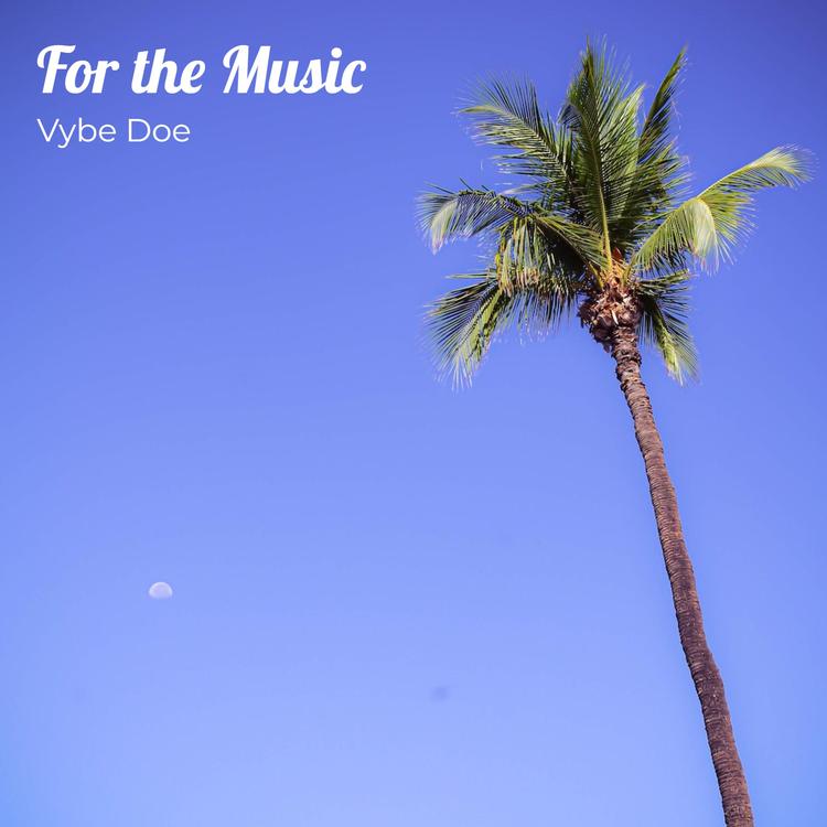 Vybe Doe's avatar image