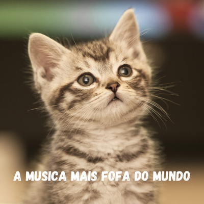 A Musica Mais Fofa do Mundo By Bruno Portinho Trilhas para filmes's cover