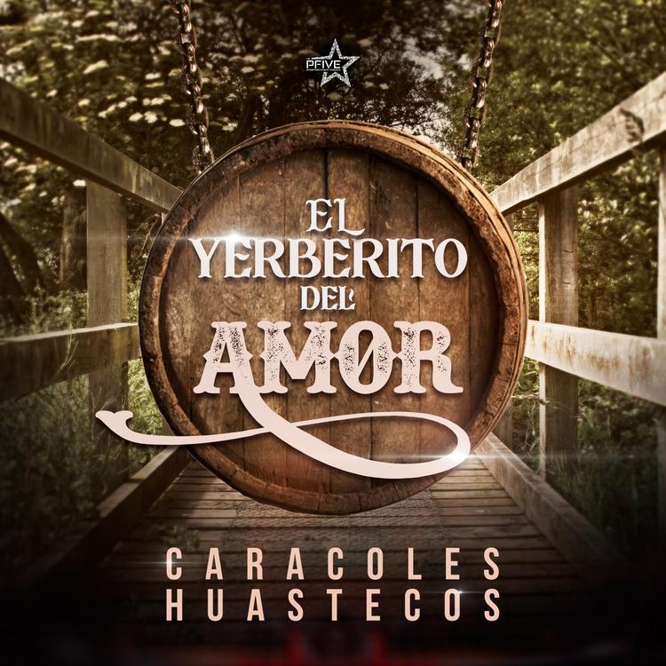 Los Caracoles Hustecos's avatar image