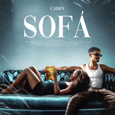 Sofá's cover