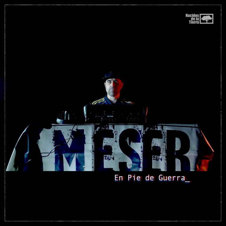 Meser's avatar image