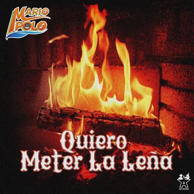 Quiero Meter la Leña's cover