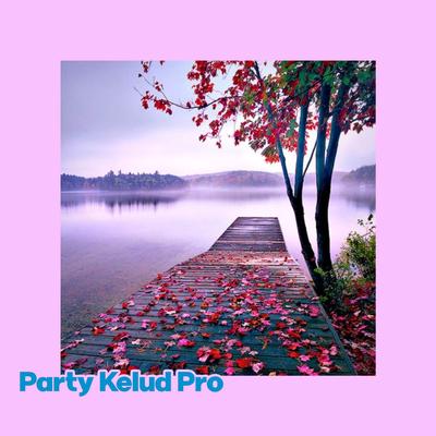 Party Kelud Pro's cover
