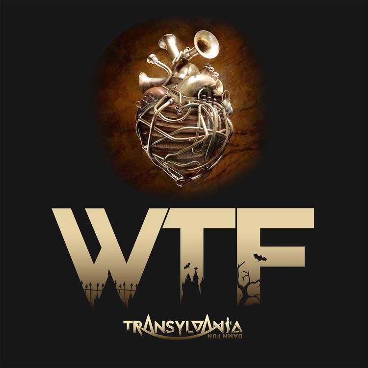 Transylvania Damn Fun's avatar image