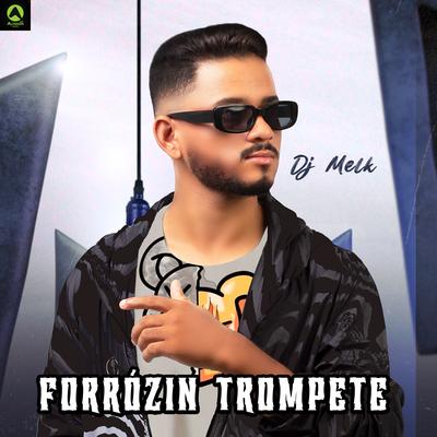 Forrózin Trompete By djmelk, Alysson CDs Oficial's cover