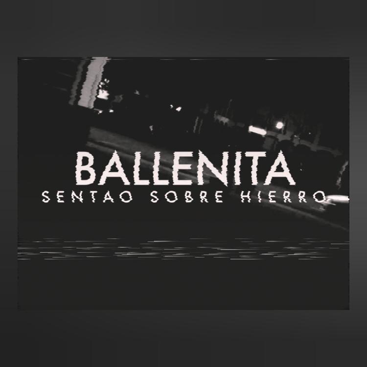 Ballenita's avatar image