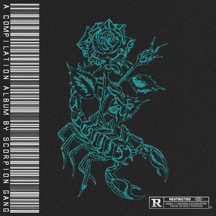 SCORPION RECORDS's avatar image