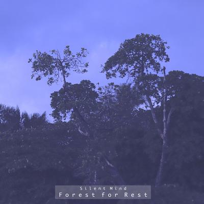 Sacred Groves By Forest for Rest's cover