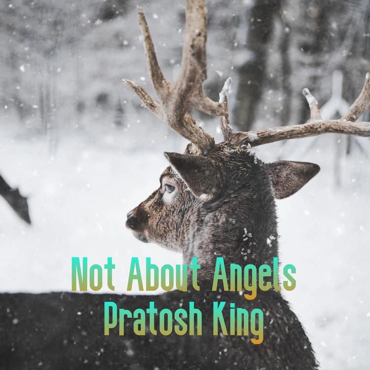 Pratosh King's avatar image