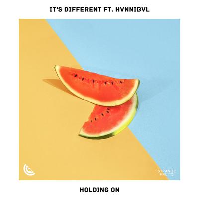 Holding On By It's Different, Hvnnibvl's cover