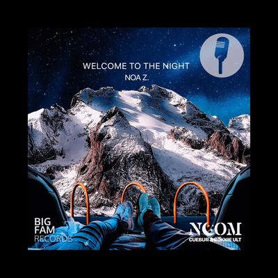 Welcome to the Night (Radio Edit) By Noom, Cuebur, Bokkieult, Noa Z.'s cover