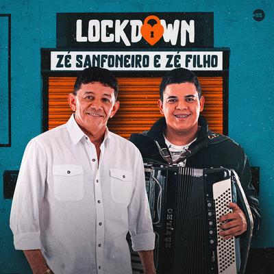 Zé Sanfoneiro's cover