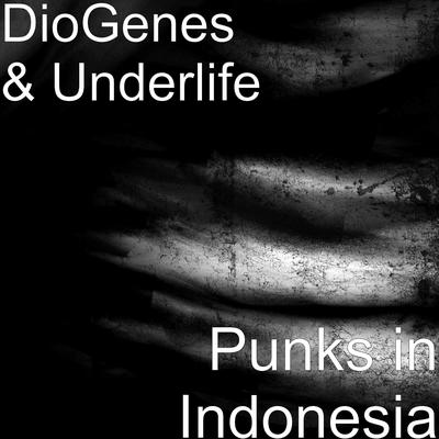 Punks in Indonesia's cover