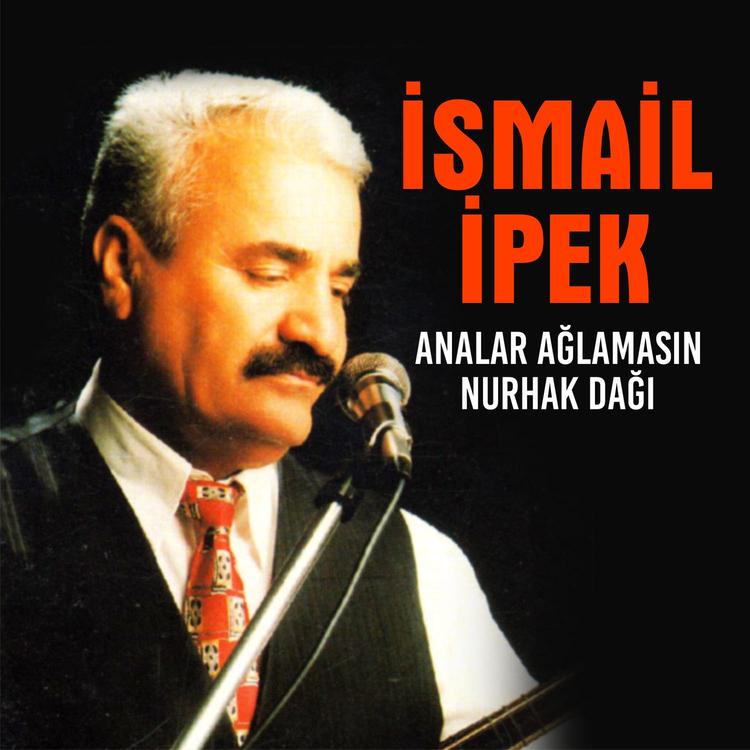 Ismail Ipek's avatar image