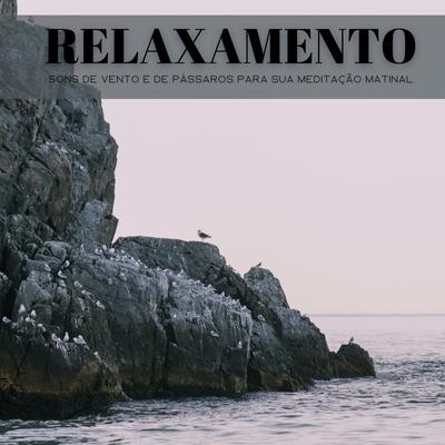 Mentalidade By Paz, Relajante Academia de Música Zen , Experiência Musical Adormecida's cover