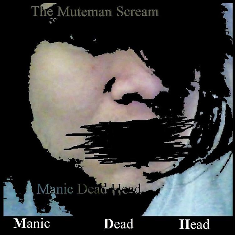 Manic Dead Head's avatar image