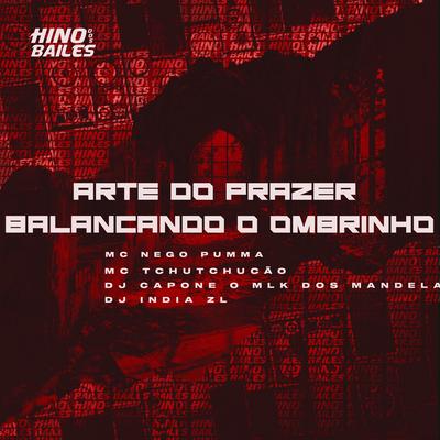 Arte do Prazer - Balançando o Ombrinho's cover