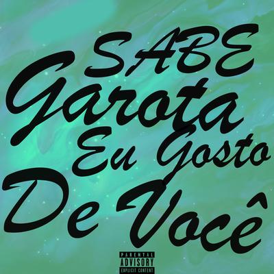 Sabe Garota Eu Gosto de Você (Speed Plug) By TM's cover