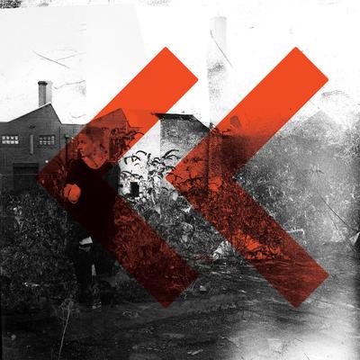 Silvering By LoneLady's cover