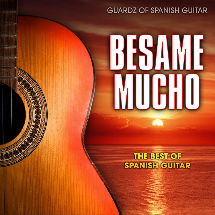 Guardz of Spanish Guitar's avatar image