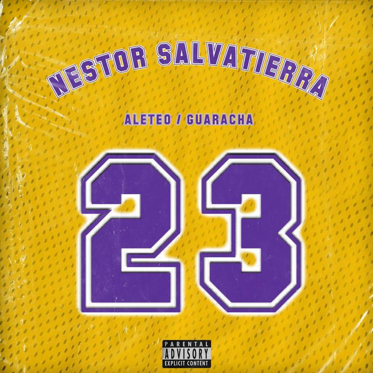 Nestor Salvatierra's avatar image