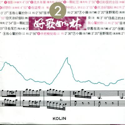 好歌如林(2)'s cover