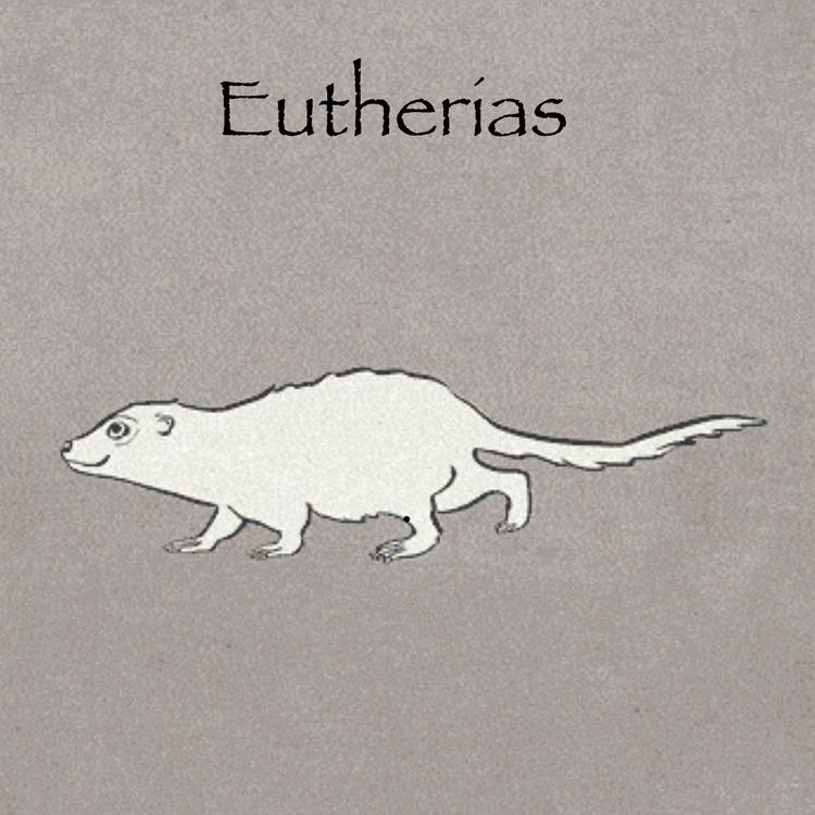 Eutherias's avatar image