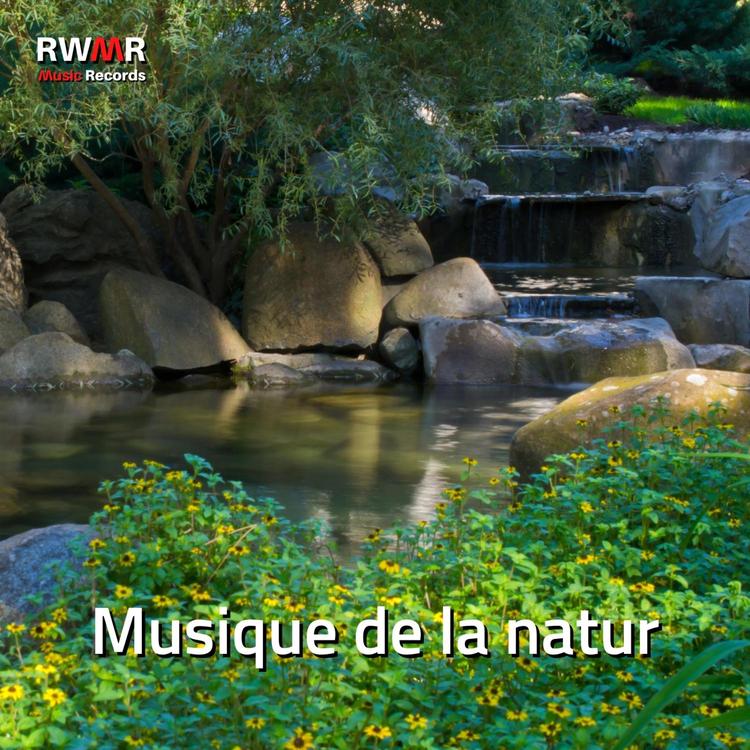 RW Musique de fond naturelle's avatar image