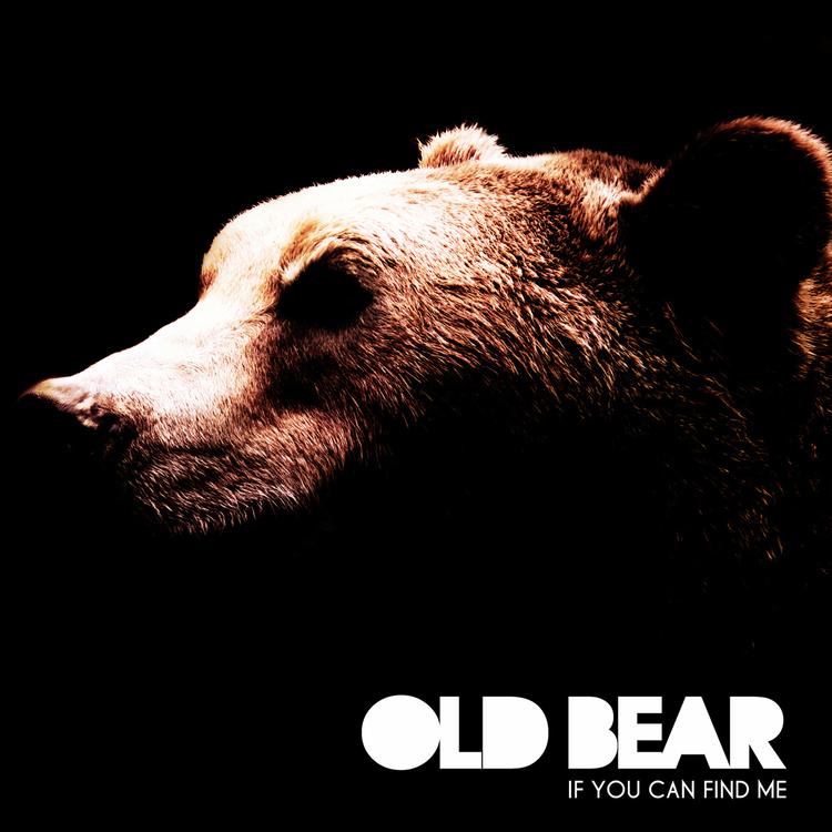 Old Bear's avatar image