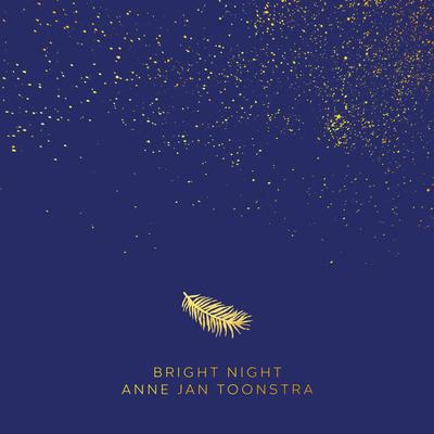 Anne Jan Toonstra's cover