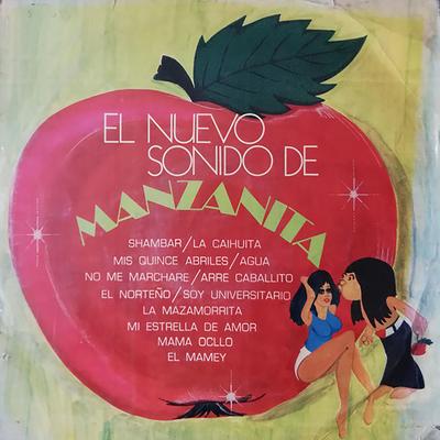 Shamba By Manzanita y su Conjunto's cover