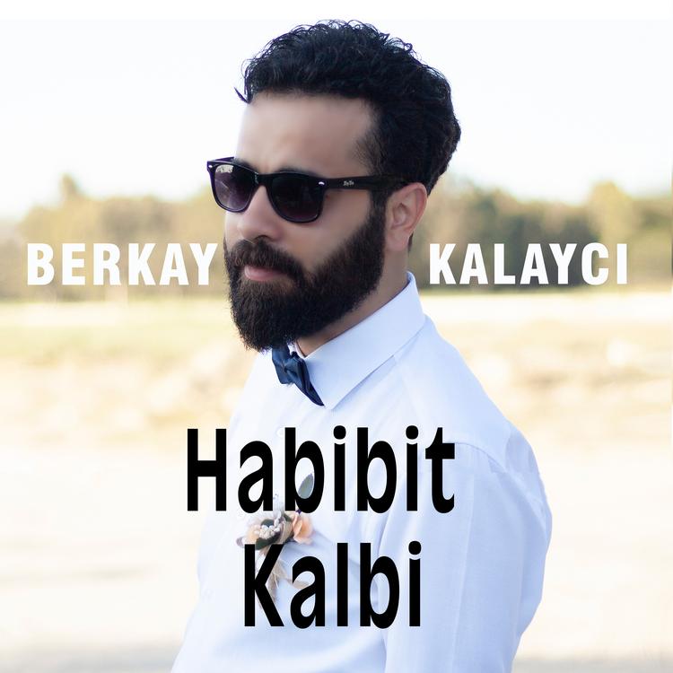 Berkay Kalaycı's avatar image