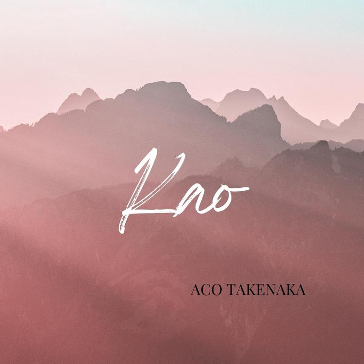 Aco Takenaka's avatar image