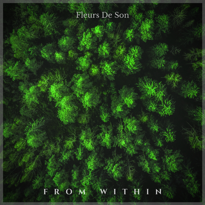 From Within By Fleurs de Son's cover