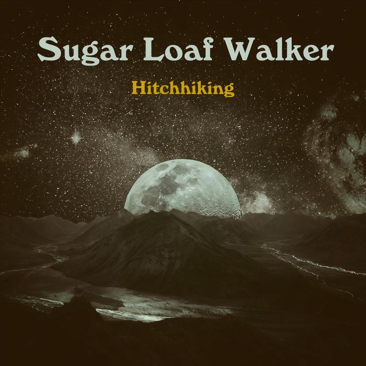 Sugar Loaf Walker's avatar image