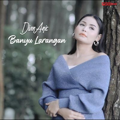 Banyu Larangan's cover