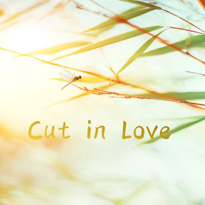 Cut in Love's cover